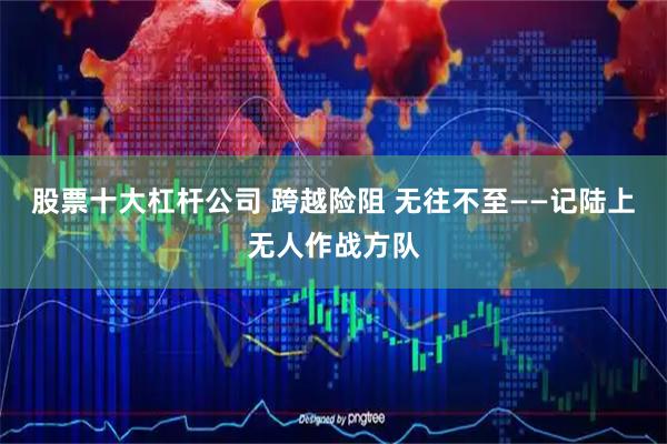 股票十大杠杆公司 跨越险阻 无往不至——记陆上无人作战方队