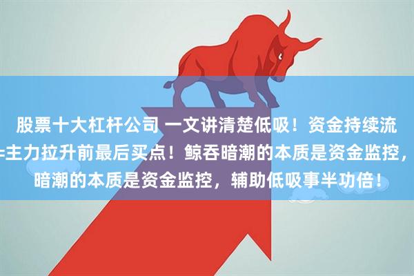 股票十大杠杆公司 一文讲清楚低吸！资金持续流入 缩量回踩趋势线=主力拉升前最后买点！鲸吞暗潮的本质是资金监控，辅助低吸事半功倍！